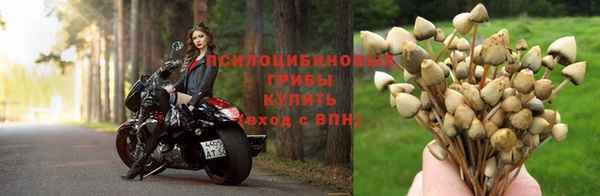 метадон Заволжск