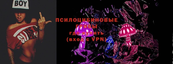 соль ск Заводоуковск
