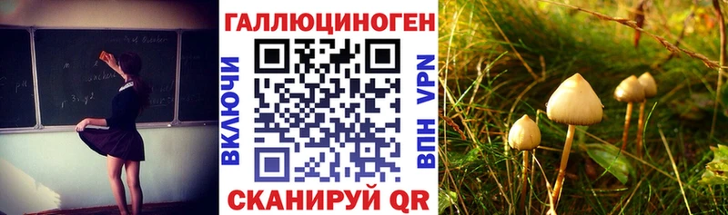 Купить где  Тюмень  Псилоцибиновые грибы мухоморы 